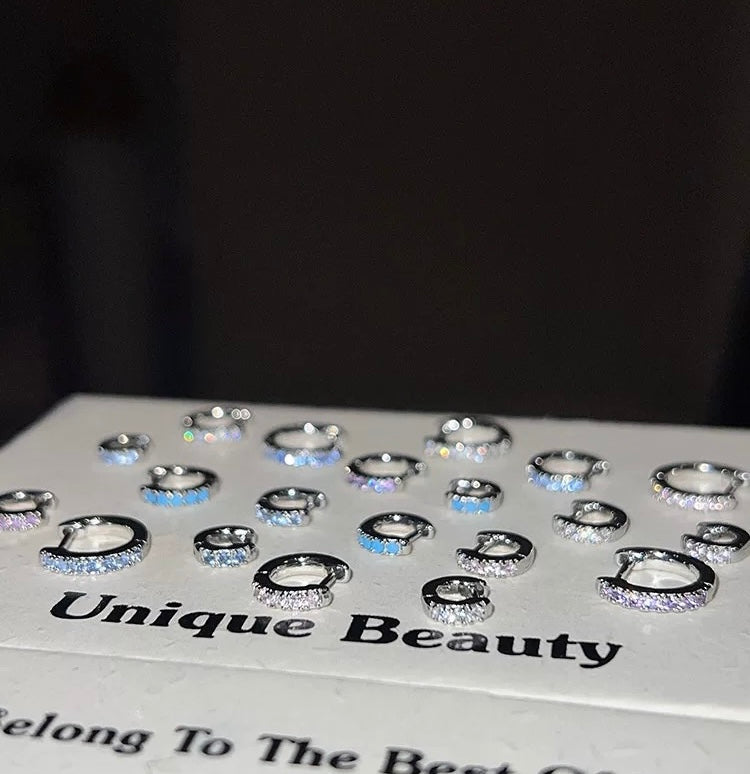 Signature Turquoise Earring King