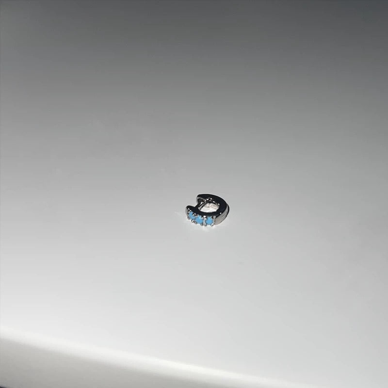 Signature Turquoise Earring King