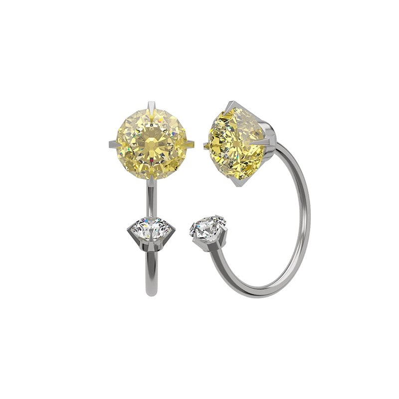 Horseshoe Hoop Earrings